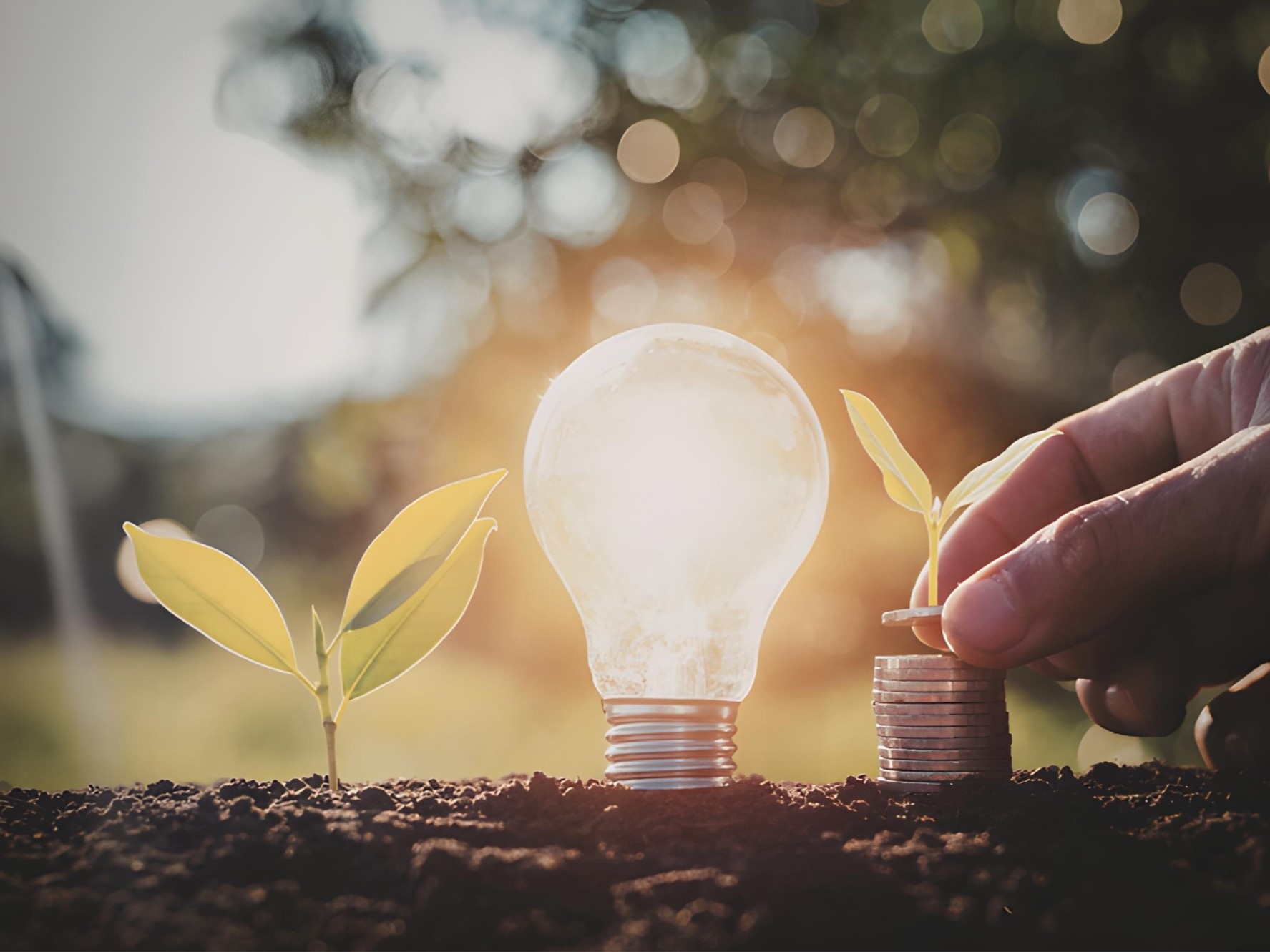 Lightbulb with seedlings representing innovation and sustainable development