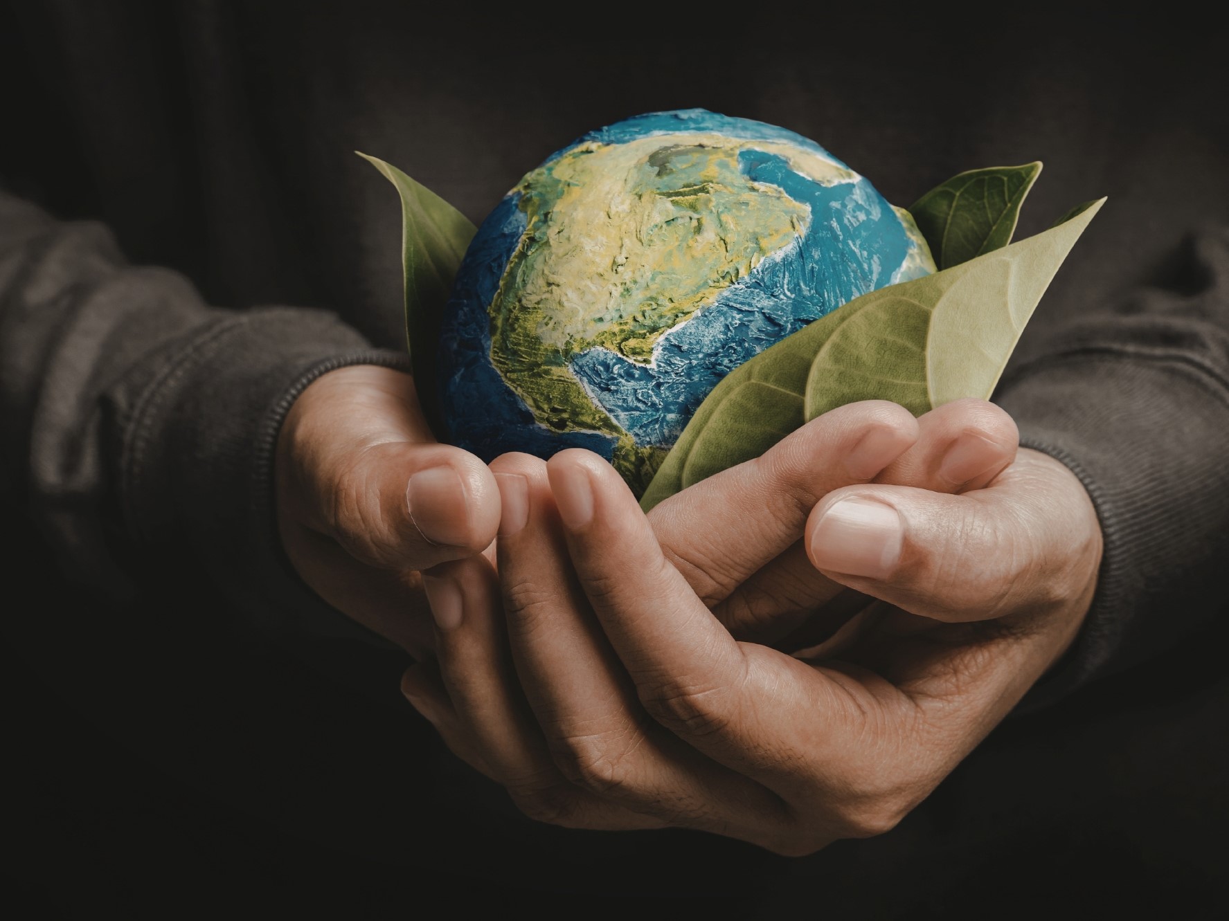 Hands holding a globe with leaves representing holistic environmental planning